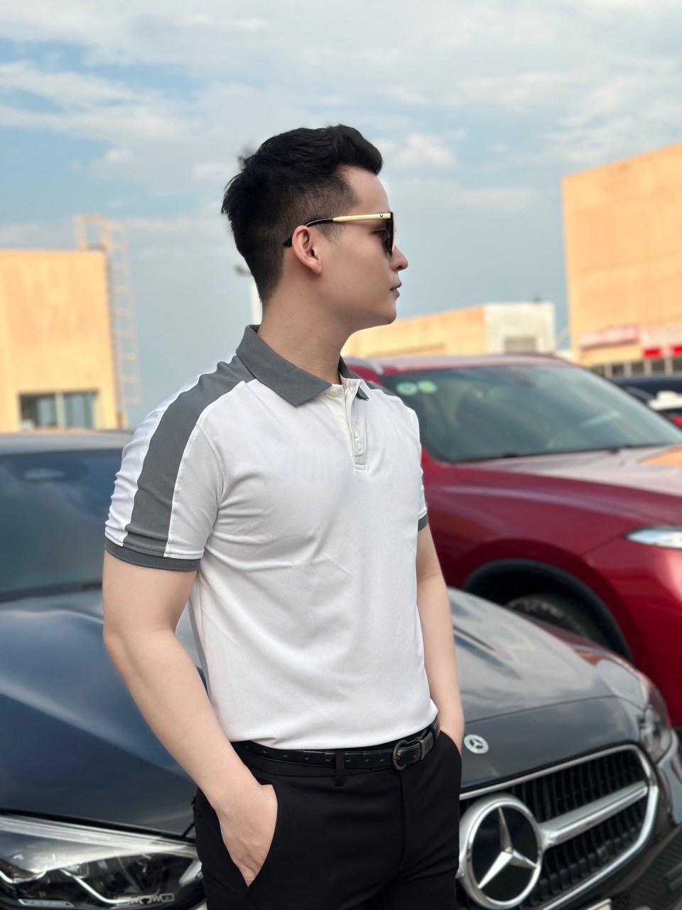 Áo Polo nam cổ bẻ ngắn tay, chất liệu vải cá sấu cotton cao cấp, trẻ trung, năng động Hemstore