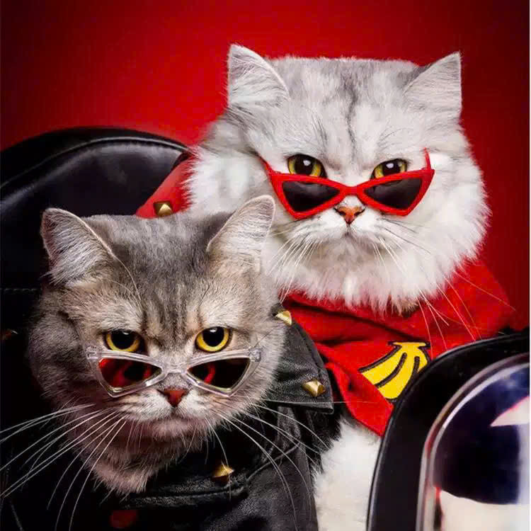 MẮT KÍNH KÍNH RÂM KÍNH MÁT NGỘ NGHĨNH TAM GIÁC SIÊU XINH SANG CHẢNH MÃ 1 CHO THÚ CƯNG CHÓ MÈO