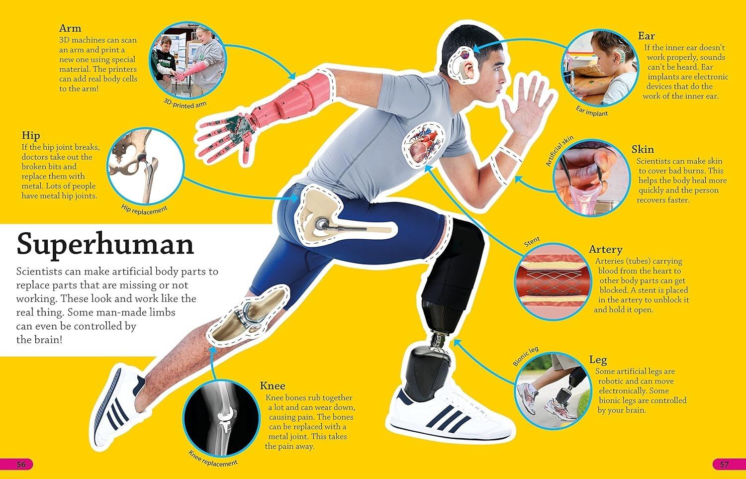 Sách ngoại văn: DKfindout! Human Body