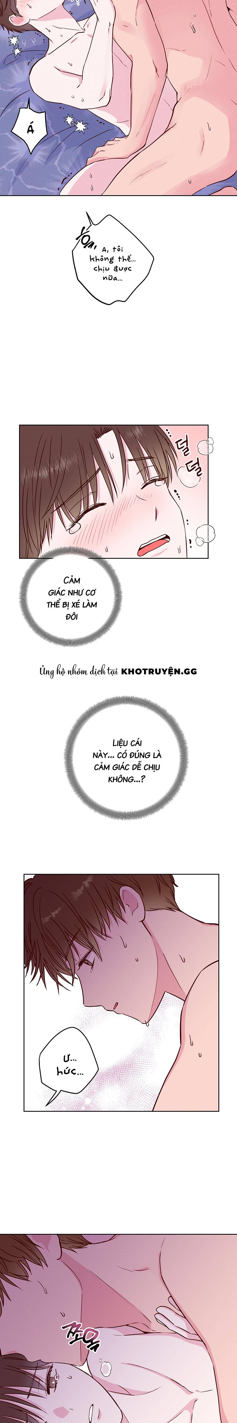 xin đừng siết chặt! chapter 5 14