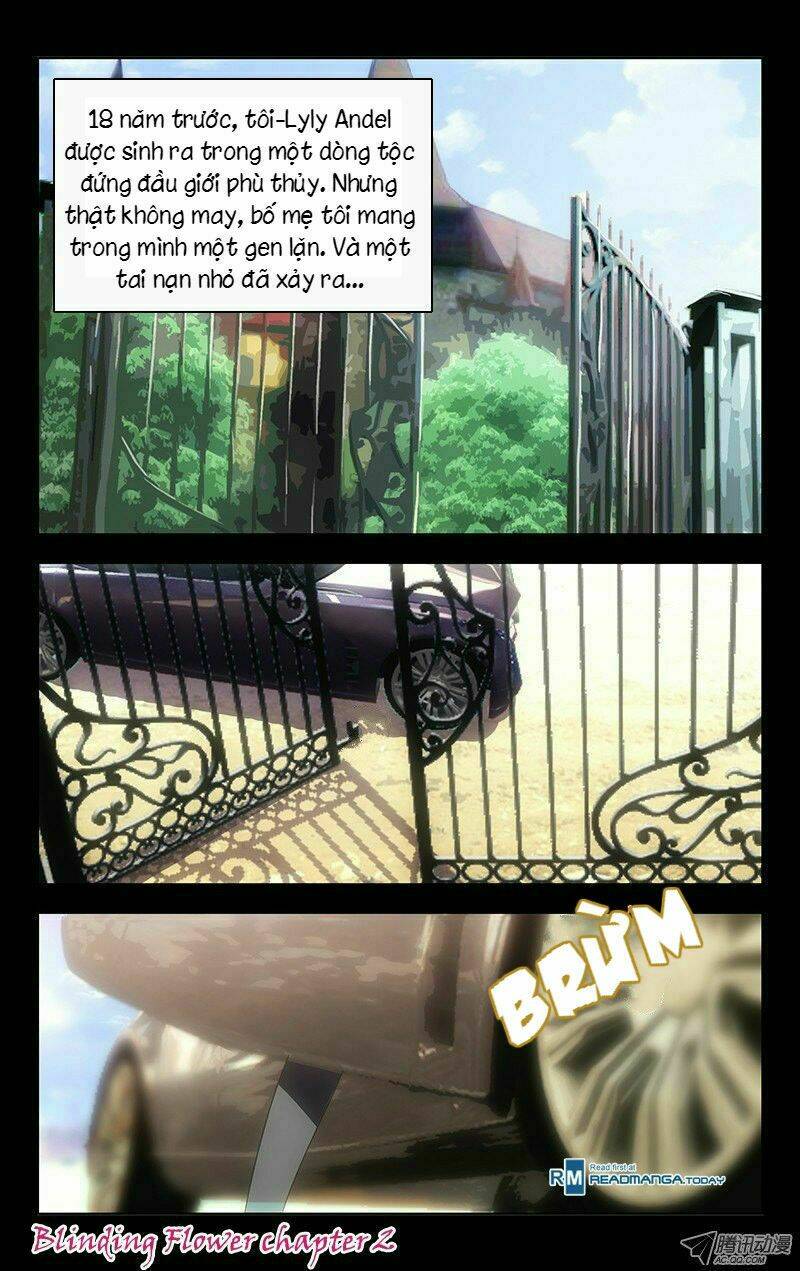 blinding flower chapter 2 3