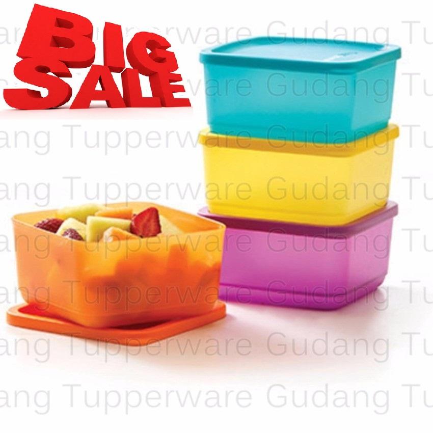 Hộp Bảo Quản Thực Phẩm Small Summer Fresh Tupperware, Hộp Trữ Khô, Nhựa Nguyên Sinh An Toàn