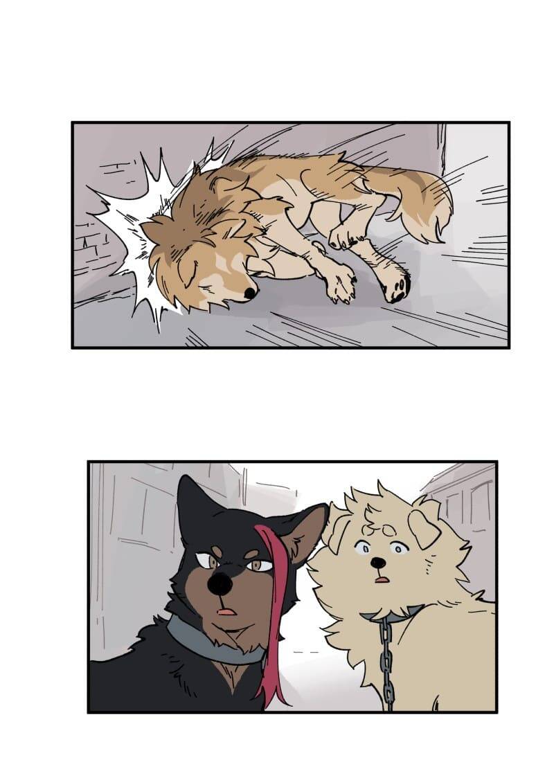 lumine - cội nguồn ánh sáng chapter 153 3