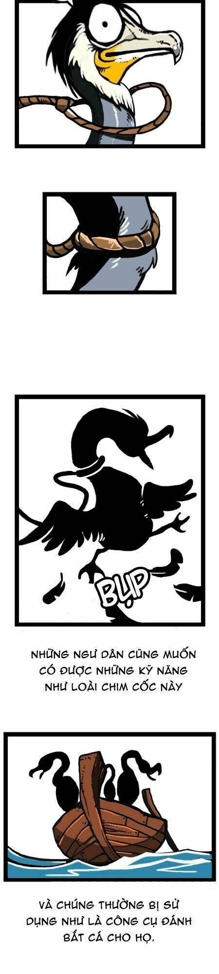 earth, human, and animal chapter 20 24