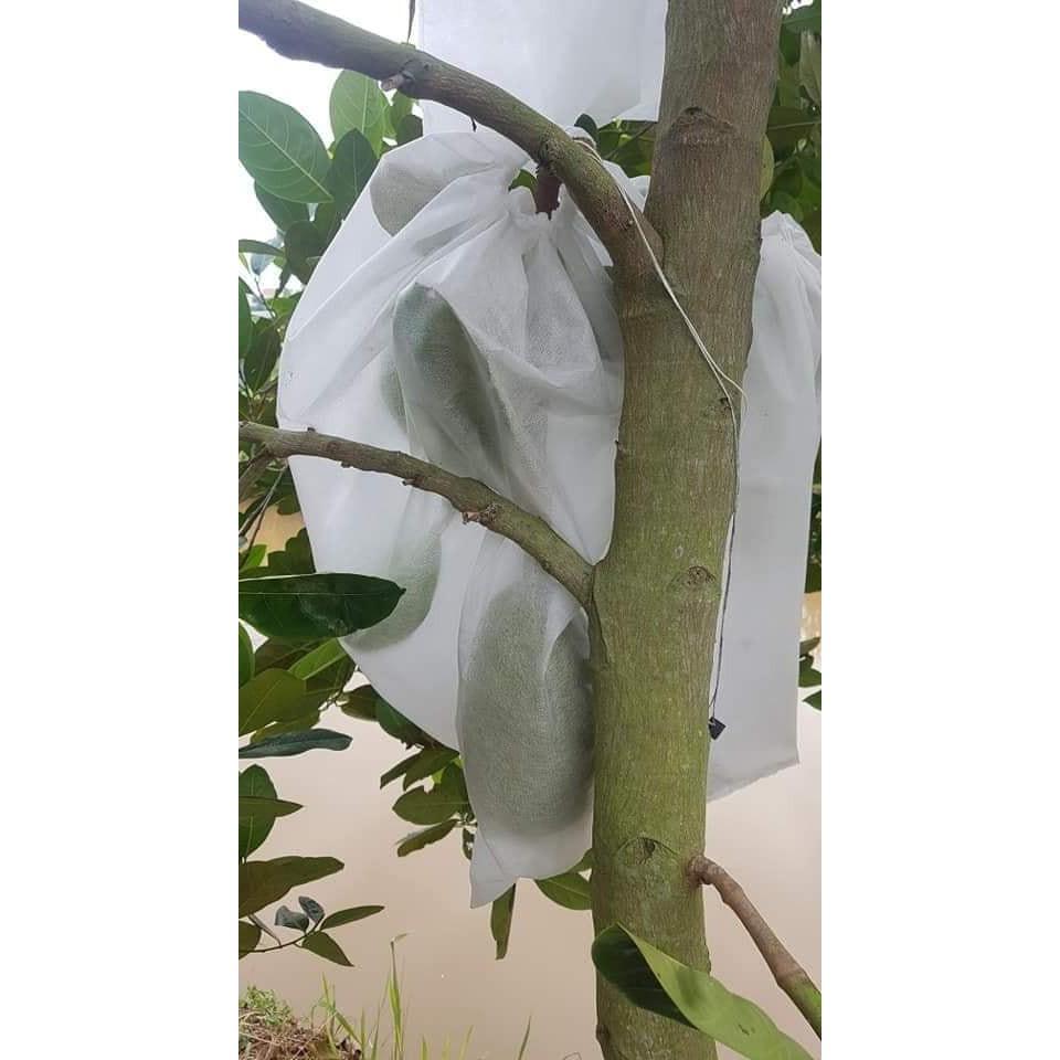 Bộ 50 túi bao trái mít kích thước 45X50