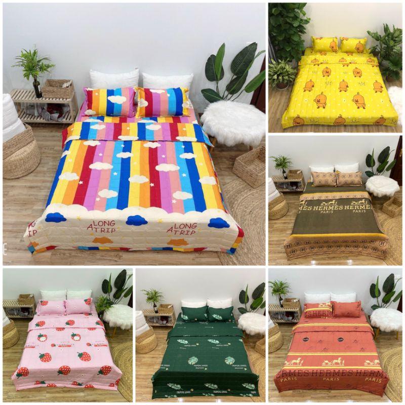 Bộ Chăn Ga Gối Cotton Poly Hè