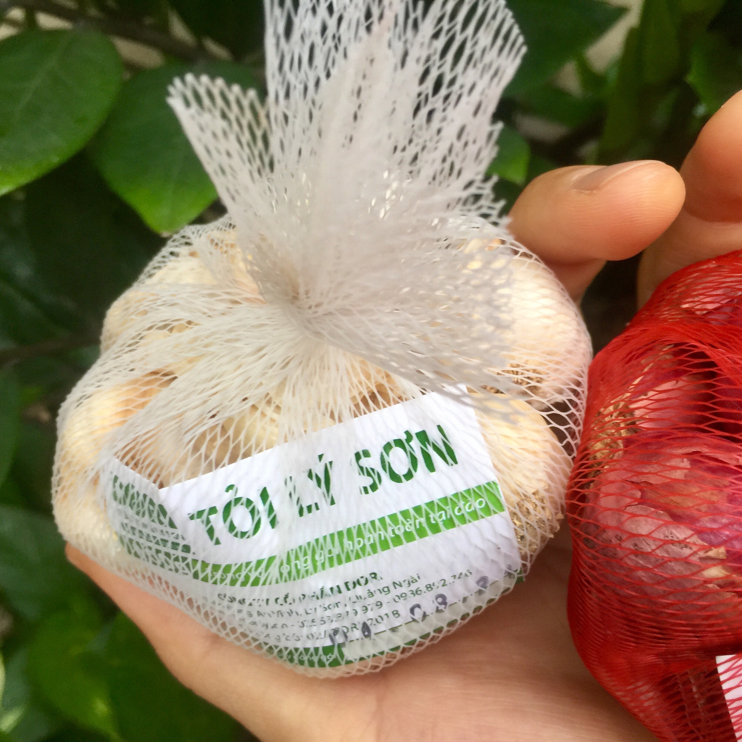 Đặc Sản Quảng Ngãi - Tỏi Lý Sơn Dori - Loại tỏi nhiều tép - Trồng tại đảo Lý Sơn