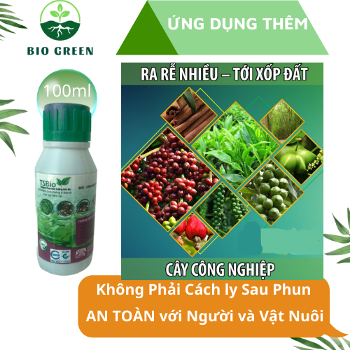 Trừ nấm sinh học TSBIO 100ml chuyên trừ CHÁY LÁ, RỈ SẮT, ĐỊA Y, VÀNG LÁ TRÊN CÂY MAI VÀNG