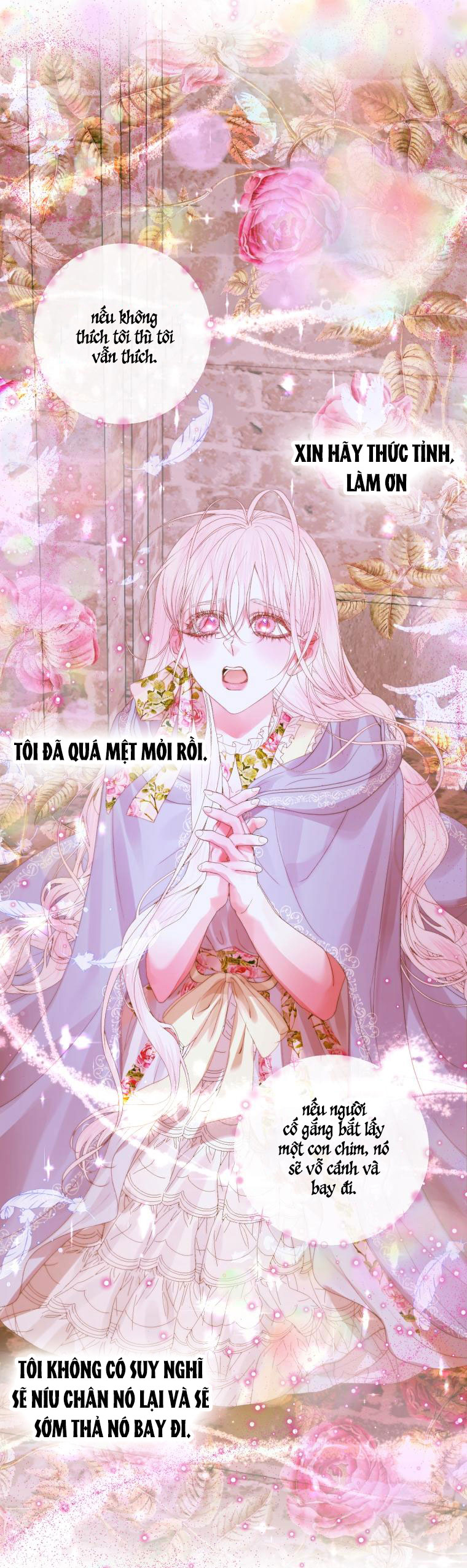 trở thành cô vợ khế ước của nhân vật phản diện chapter 79 45