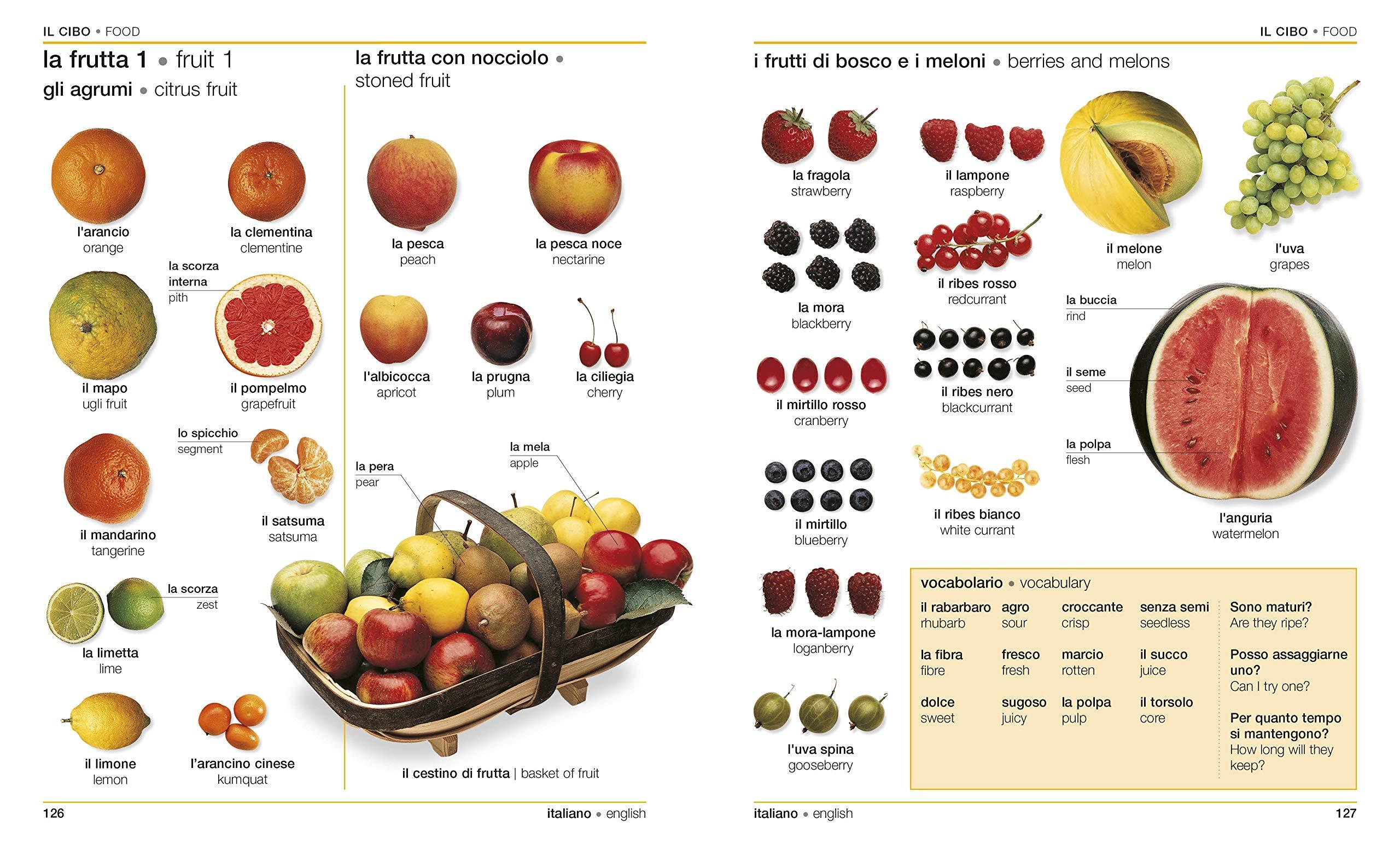 Italian-English Bilingual Visual Dictionary (DK Bilingual Visual Dictionary)