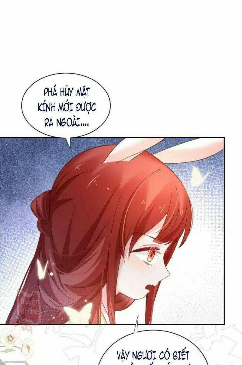 hắc hóa nam chính trực tuyến nuôi thỏ chapter 53 37