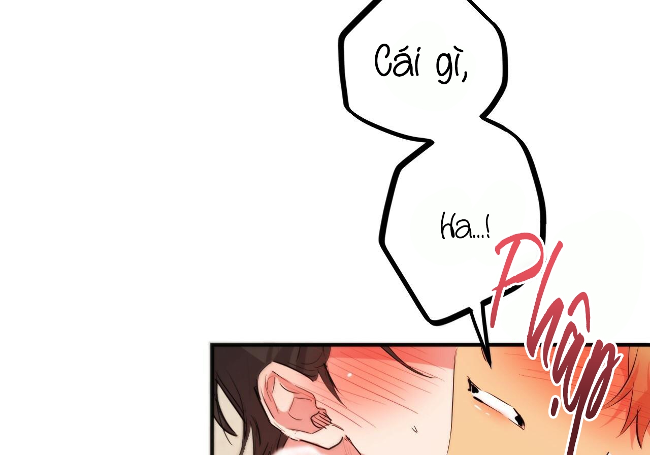 đàn thỏ của habibi chapter 29 124