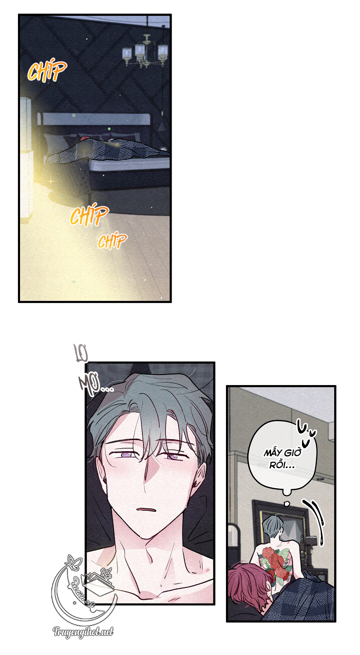 [bl19+] hoa không nở chapter 6 26