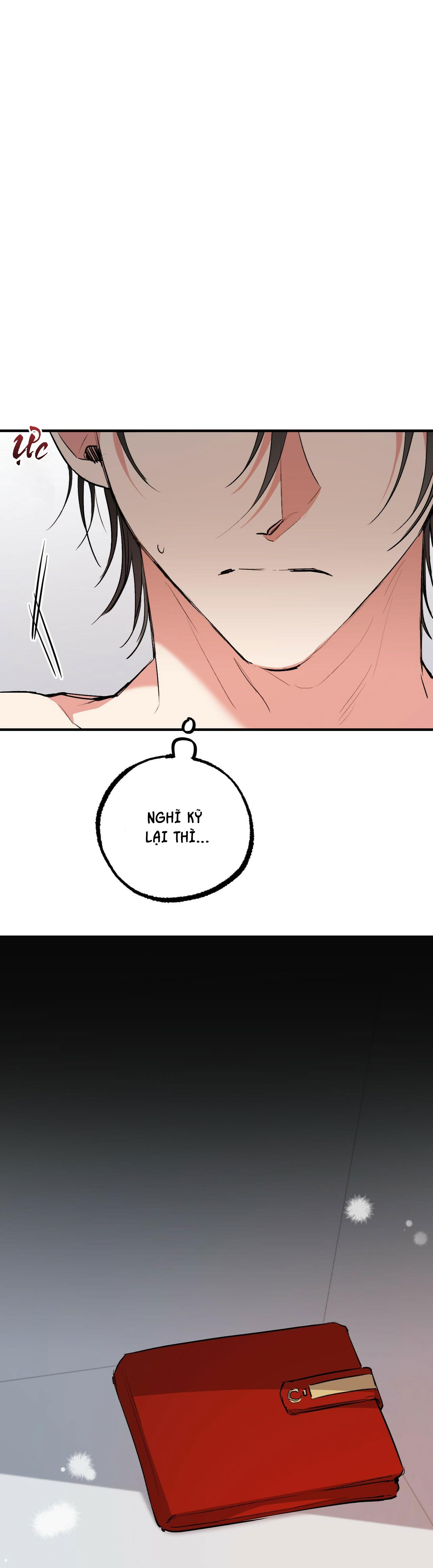 những chú thỏ của hapypy chapter 41 56