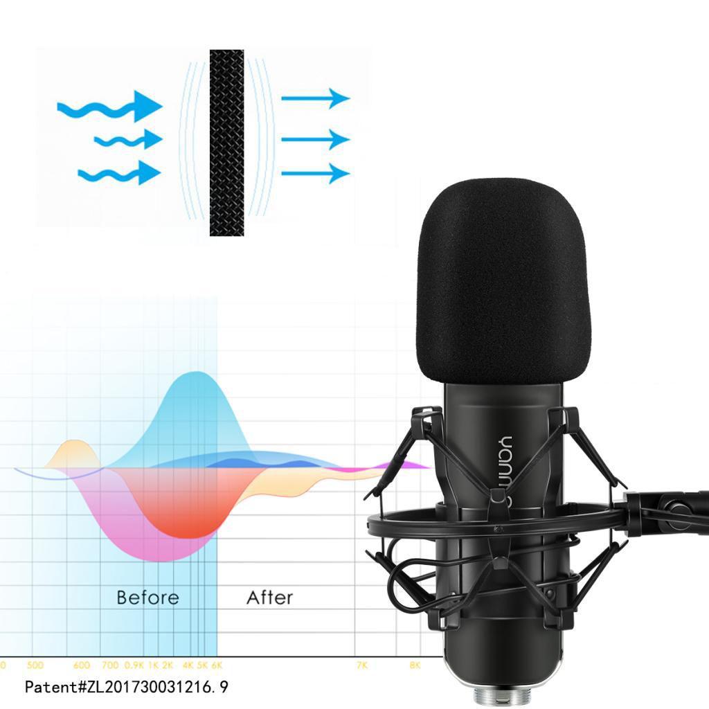Professional Condenser Studio Broadcast & Recording Microphone +Shock Mount