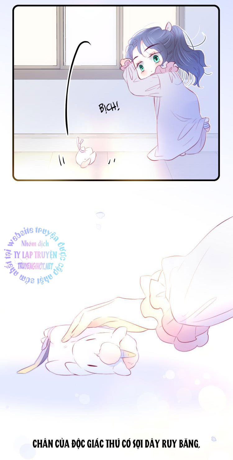 hoa và nhím cùng bỏ trốn chapter 29 32