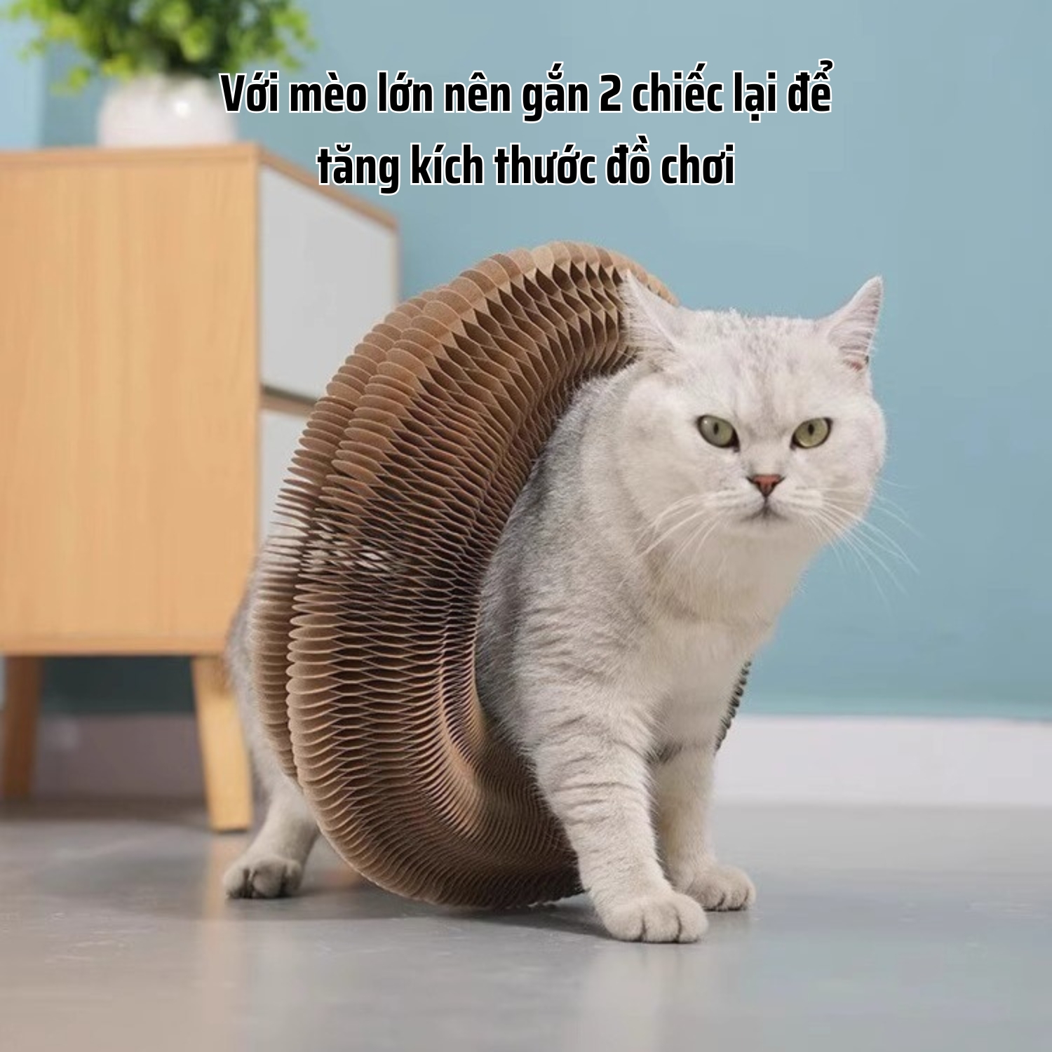 Đồ chơi bàn cào móng cho mèo kèm bóng có chuông giảm căng thẳng | Đồ chơi cào móng trụ cào móng mèo nhiều hình dạng cho nhiều mèo cùng chơi