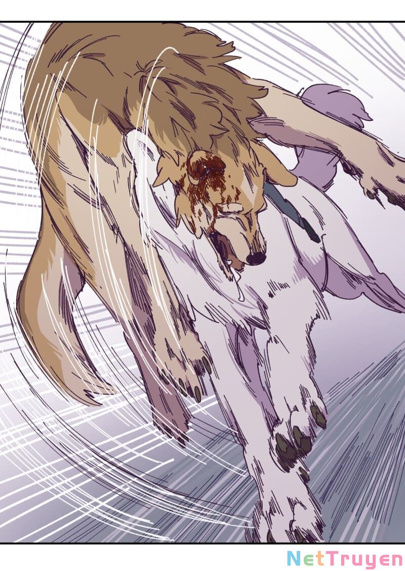 lumine - cội nguồn ánh sáng chapter 116 39