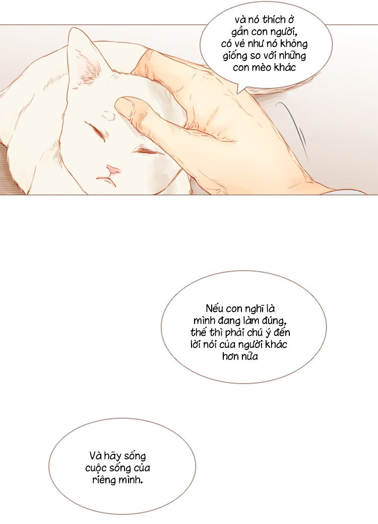 little rain chapter 8 11