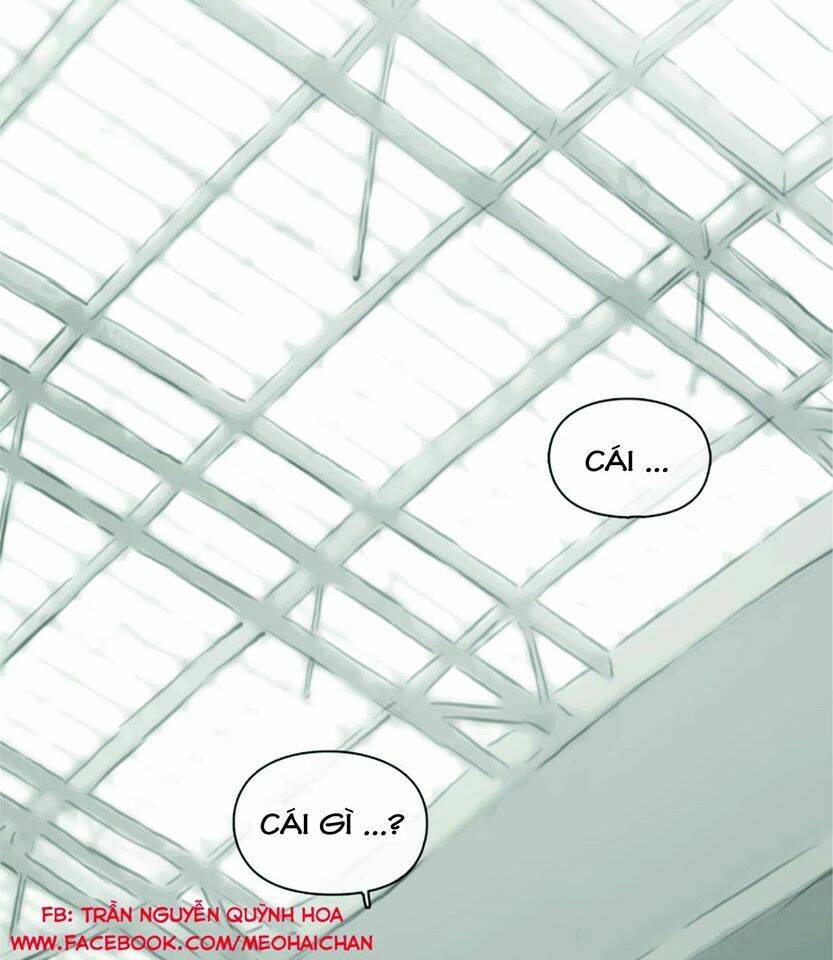 12 giờ của lọ lem chapter 40 21