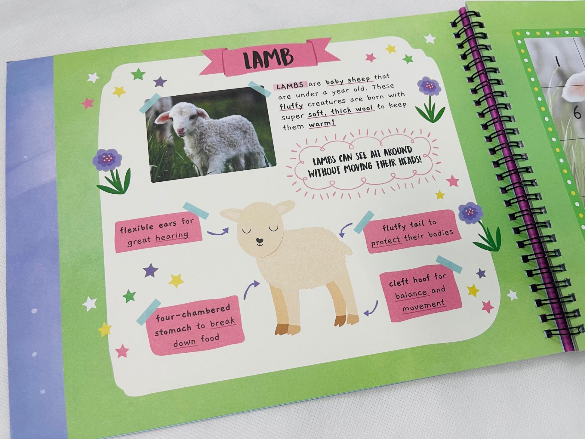 Little Wonders Sticker By Number - Baby Animals