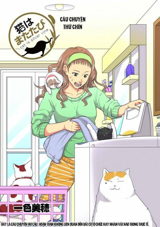 cat is silver vine chapter 9 1