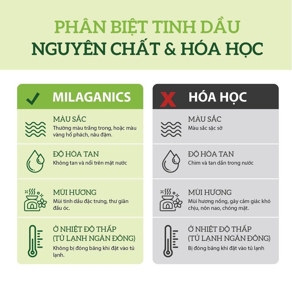 Tinh dầu Sả Chanh SUZIKO đuổi muỗi, tinh dầu tốt cho răng miệng loại 10ml