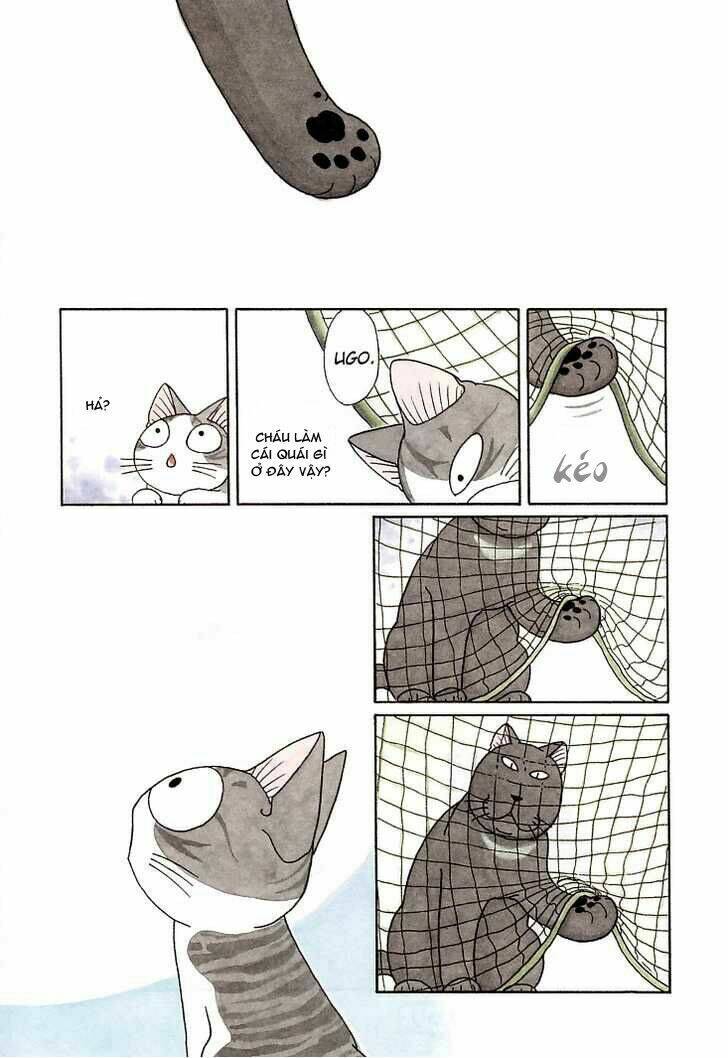 chi's sweet home chapter 90 9