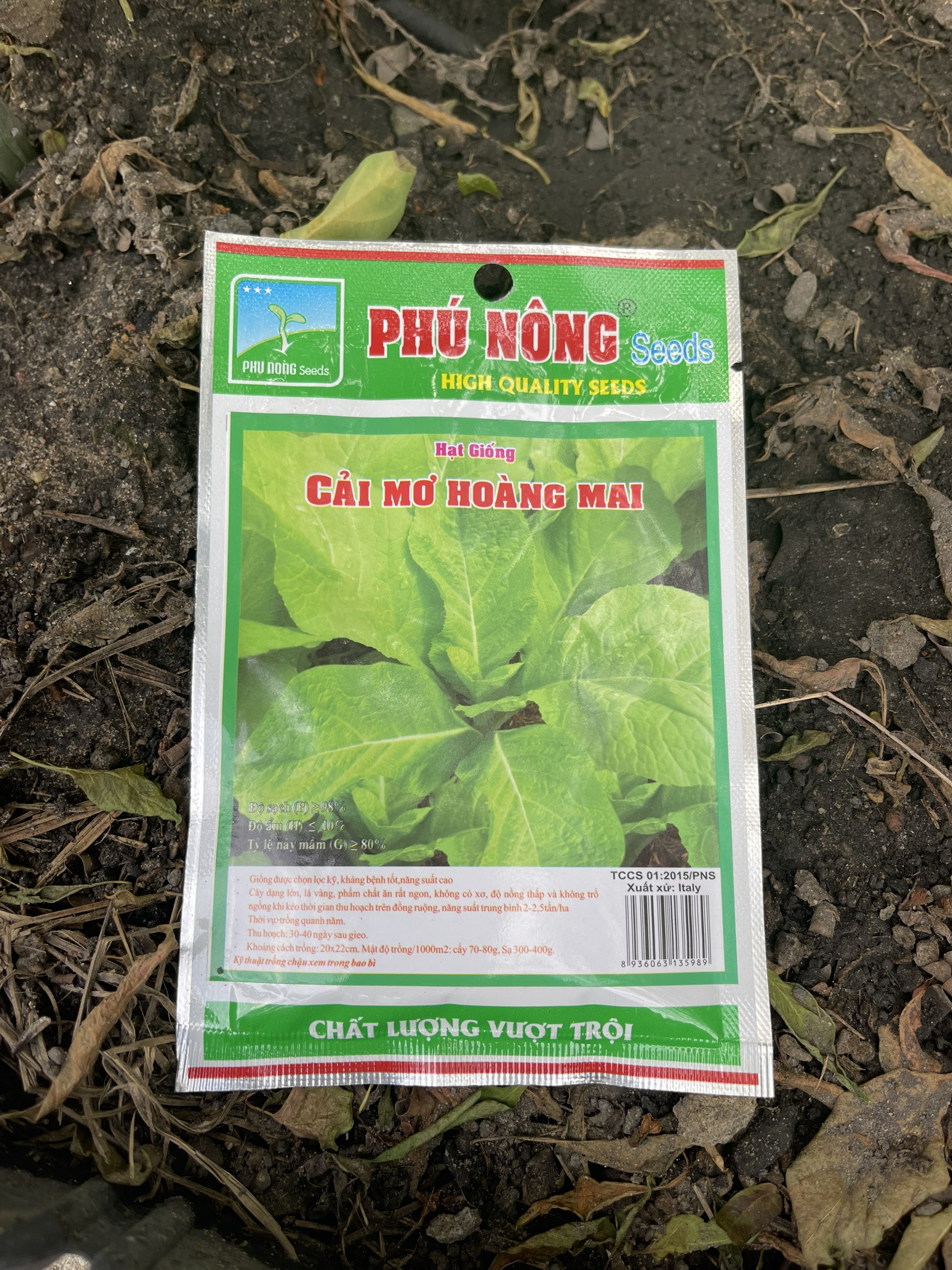 HẠT GIỐNG CẢI MƠ HOÀNG MAI - PHÚ NÔNG