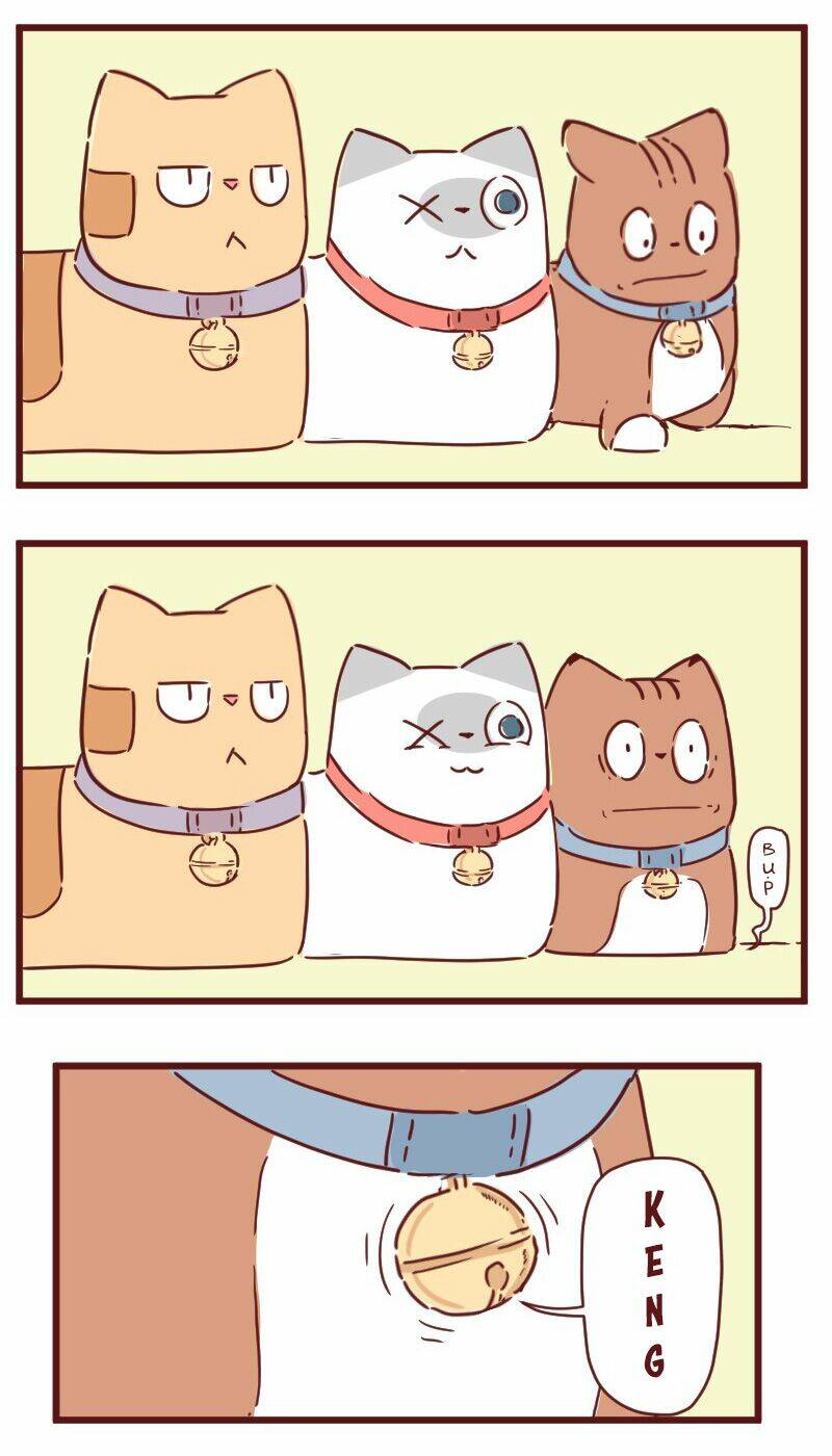 saphie: chú mèo một mắt chapter 28 11