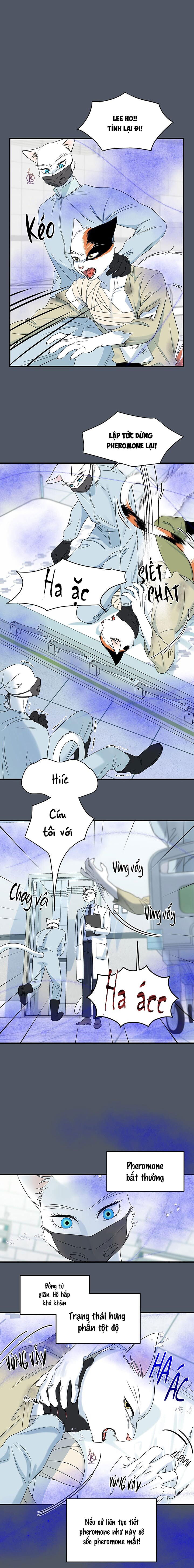 dự án xanh chapter 45 5