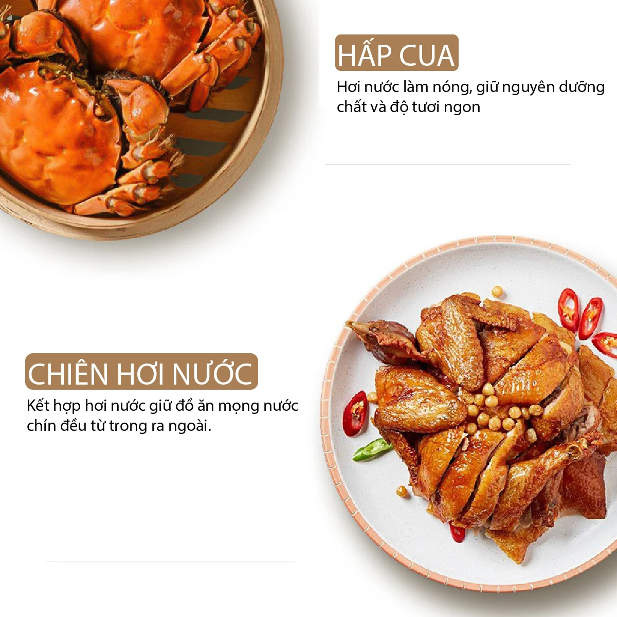 Nồi Chiên Hơi Nước Cao Cấp 10 Trong 1 Mishio MK318 - Hàng Chính Hãng