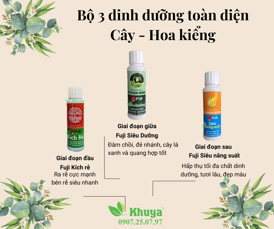 Fuji Siêu năng suất 50ml  Xanh lá - Bung chồi  Đầy hoa - Tươi lâu  Bơm căng để bán - Nặng ký