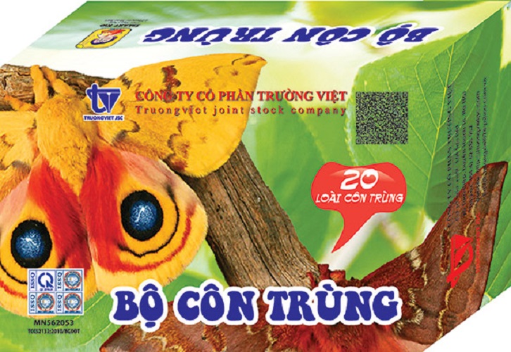 Thẻ học côn trùng Flashcards thông minh cho bé, giáo cụ mầm non