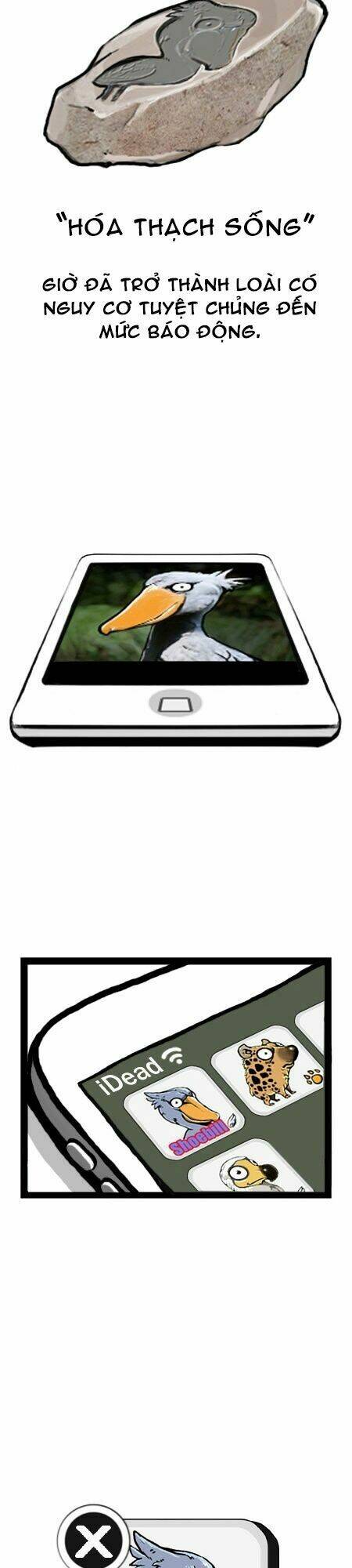 earth, human, and animal chapter 14 23