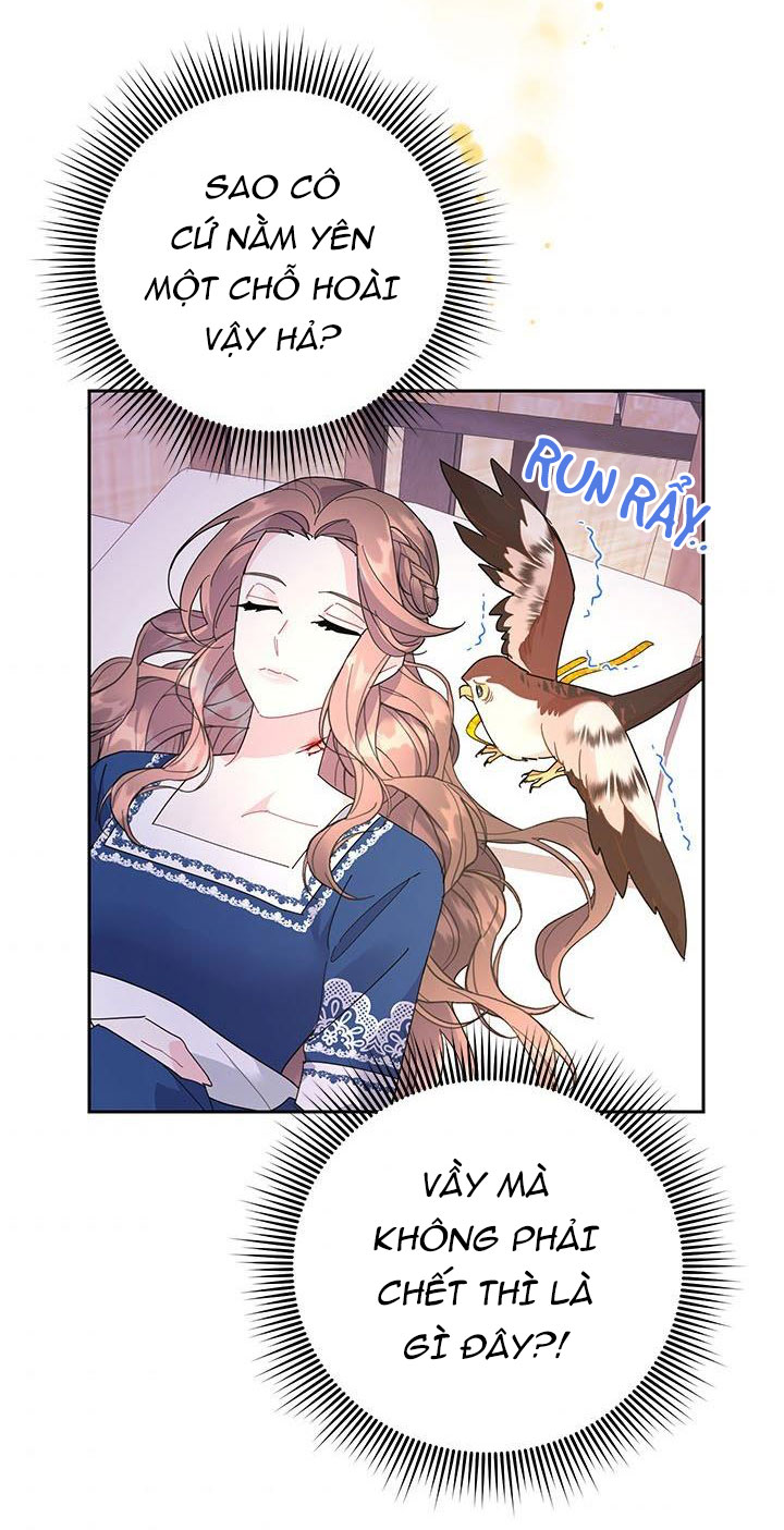 công chúa của loài chim chapter 37.1 4