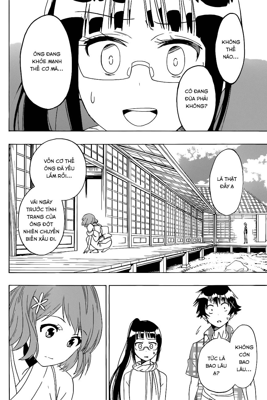 nisekoi - tình yêu giả tạo chapter 114 3