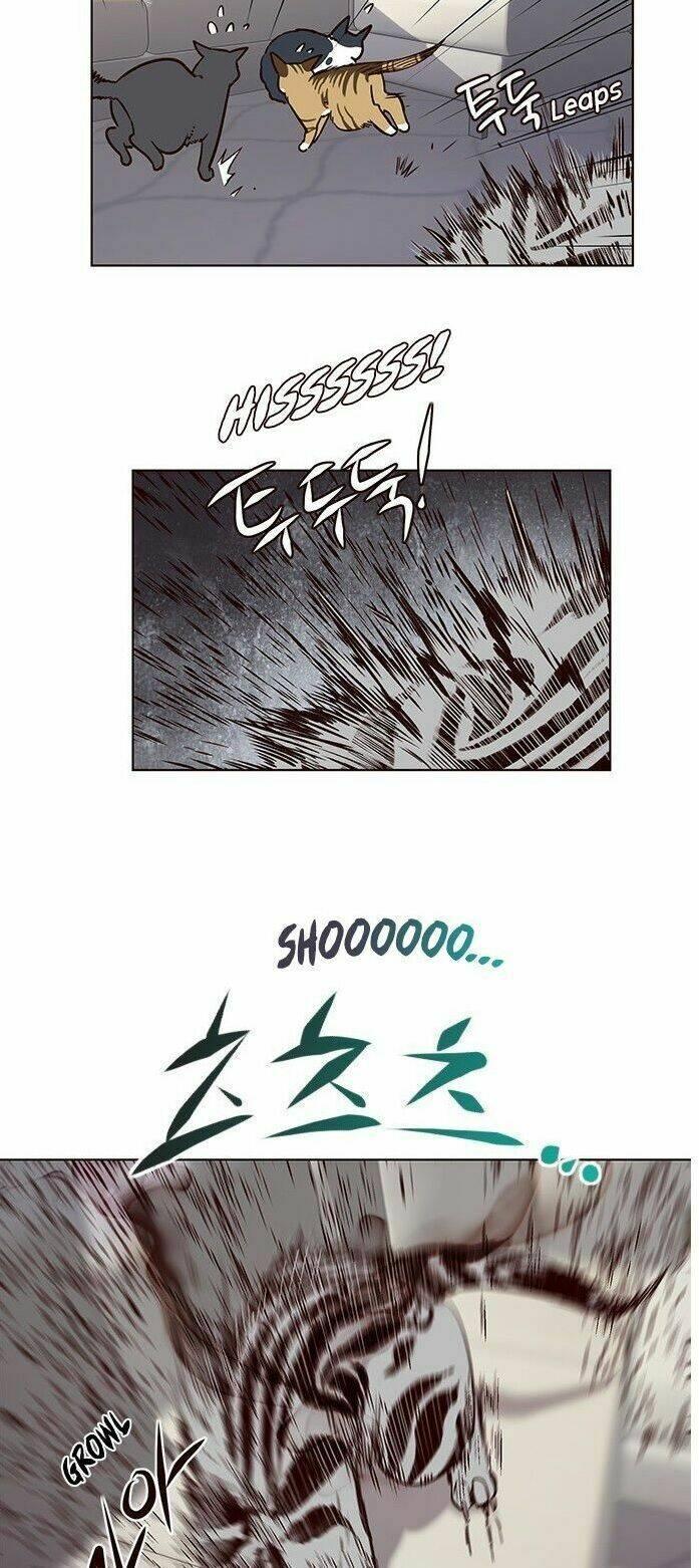 biến thân thành mèo chapter 7 40