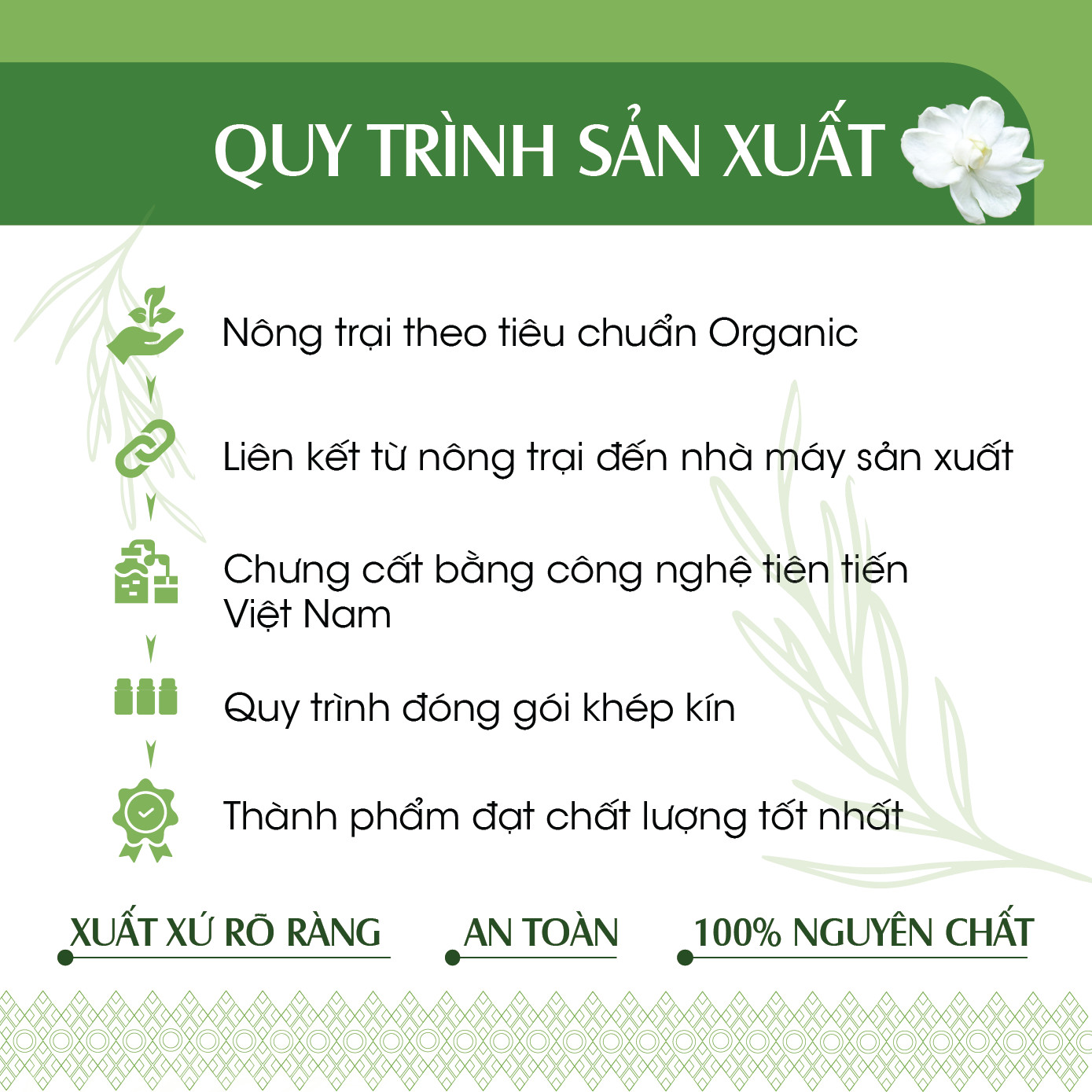 Tinh dầu Tràm Trà 24Care 100ML - Chiết xuất thiên nhiên, thanh lọc không khí, mùi hương trầm ấm, giảm căng thẳng, cân bằng cảm xúc.