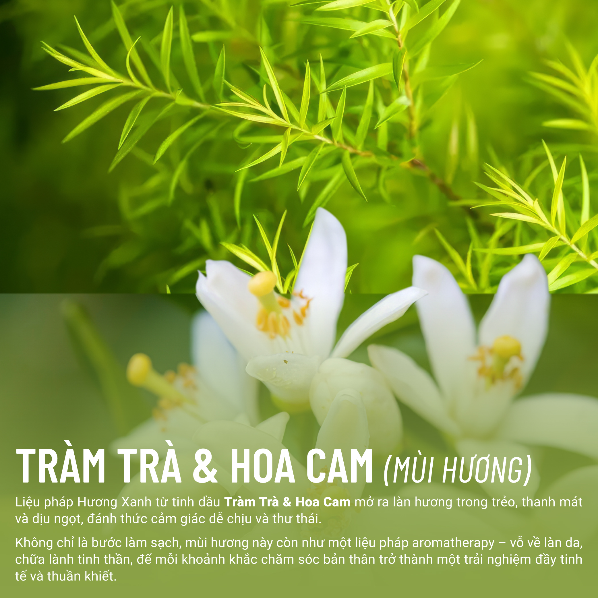 Nước Tẩy Trang Thuần Chay Nha Đam Xương Rồng Heebee’s Sạch Sâu, Dịu Nhẹ, Ngừa Mụn, Cho Da Nhạy Cảm, Không Khô Da 110ml