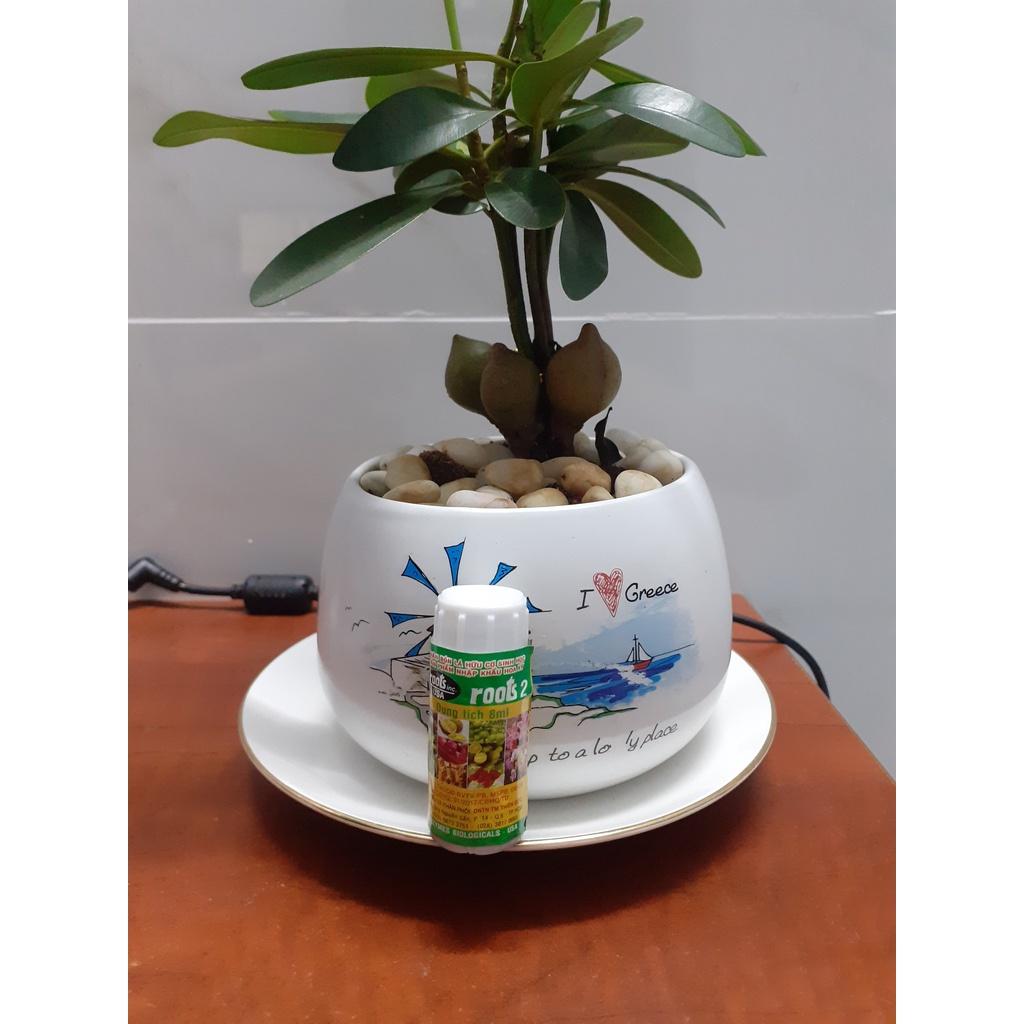 Roots 2 phân bón lá hữu cơ sinh học nhỏ mà có võ nha.