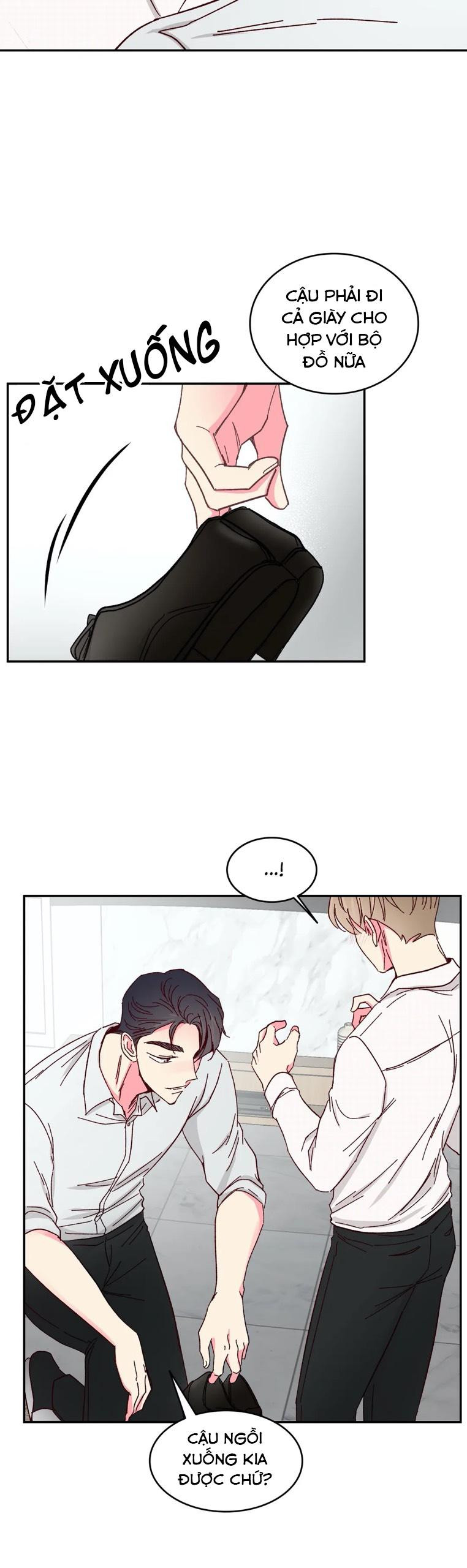 món tráng miệng của sếp tổng chapter 51 8