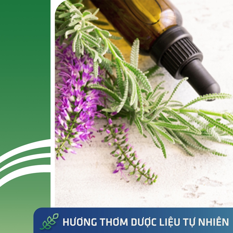 Dầu Gội Sạch Gàu Antisol pH6.5 Chiết Xuất Dược Liệu Ngăn Ngừa Gàu, Rụng Tóc, Ngứa Da Đầu Tái Phát - Chai 240ml - Thương Hiệu iCare Pharma