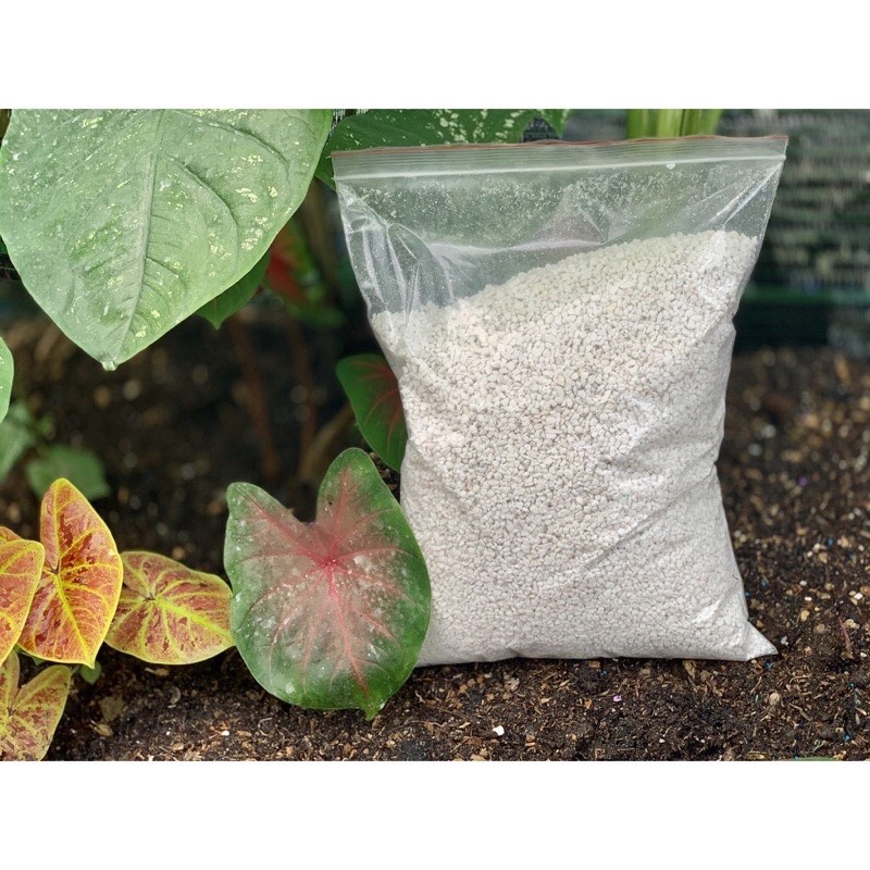 Đá Perlite, bao100gr (~ 2dm3), đá trân châu trồng hồng, sen đá, thuỷ canh giàu khoáng chất, tăng độ tơi xốp trong đất