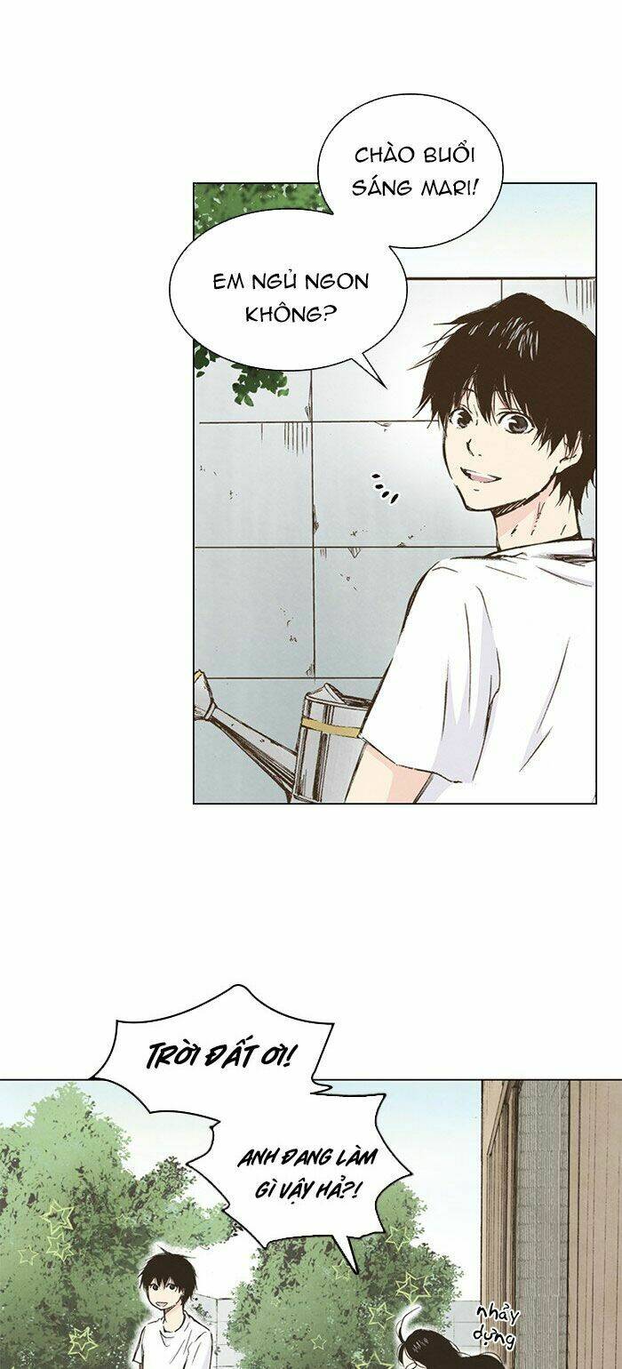 marry me! chapter 39 35