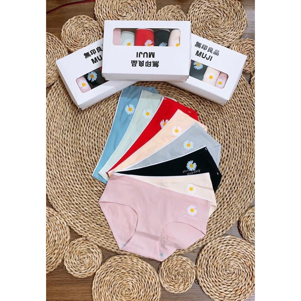 COMBO 5 QUẦN LÓT HOA CÚC NỮ HÀNG ĐẸP MỀM MỊN KHÁNG KHUẨN