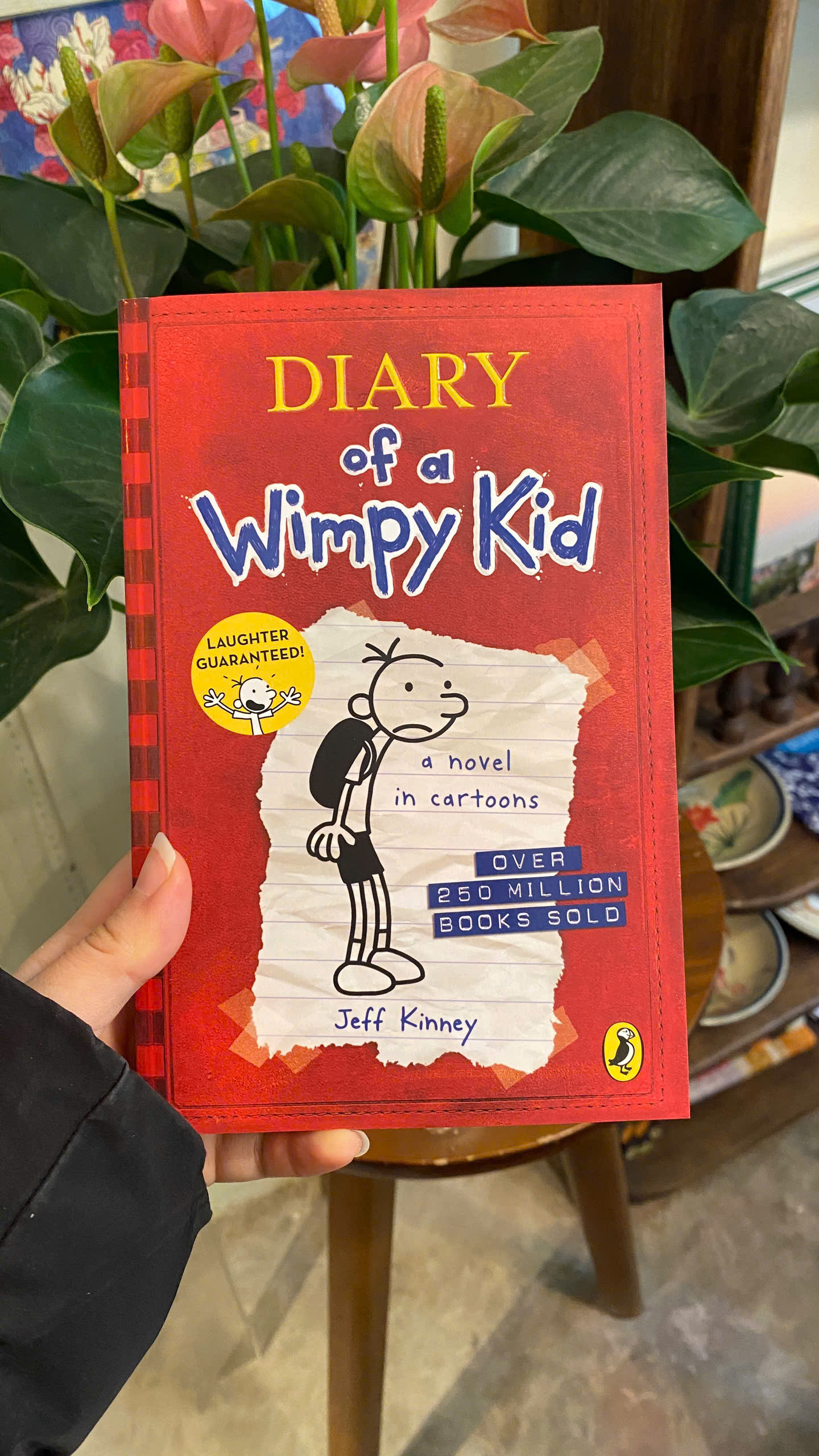 Sách - Diary Of A Wimpy Kid by Jeff Kinney | Children’s Book / Ngoại văn Thiếu nhi Tiếng Anh cho Trẻ