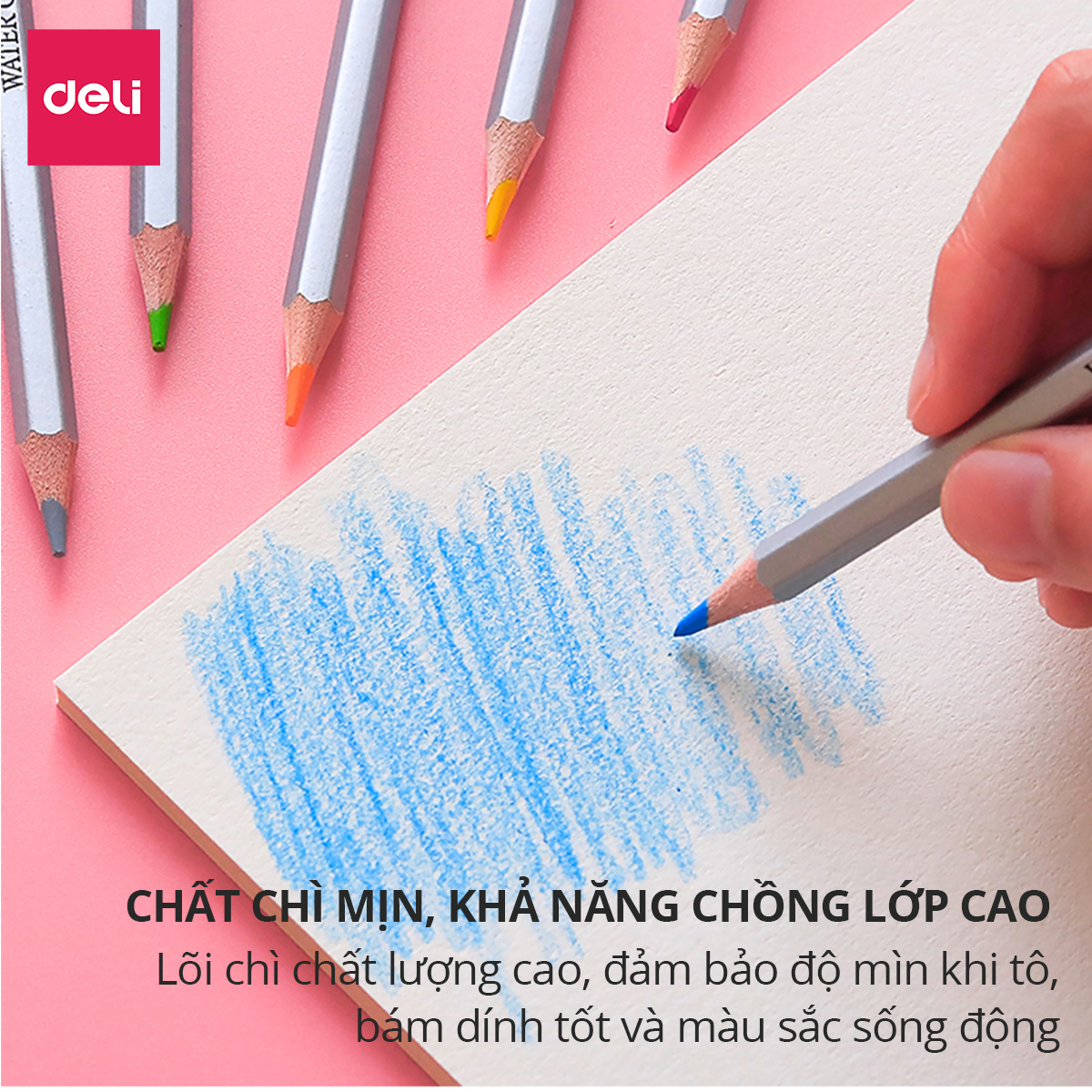 Bút chì màu nước cao cấp Deli - Có kèm cọ tán - Bộ 24/36/48 màu - 6521/6522/6523