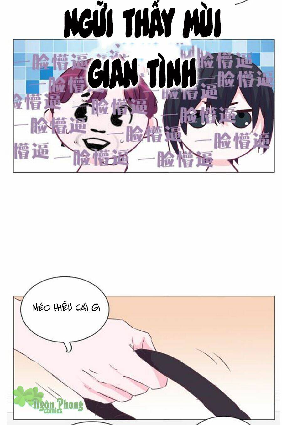 đừng nghịch, ta chỉ muốn yên tĩnh chapter 24 7