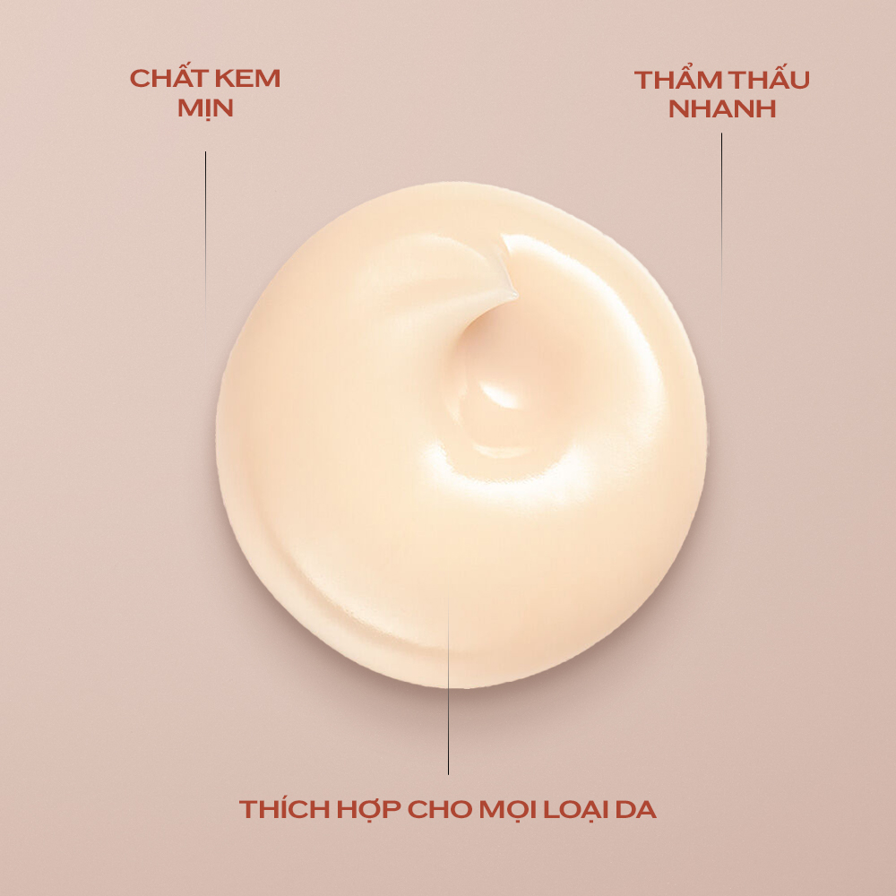 [NEW] Kem dưỡng mắt Shiseido Benefiance Wrinkle Smoothing Eye Cream 15ml - Phiên bản mới